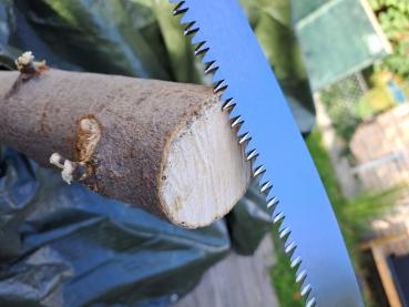 Preview: Baumsäge / Grünholzsäge 330 mm – Perfekt für Garten & Obstbau